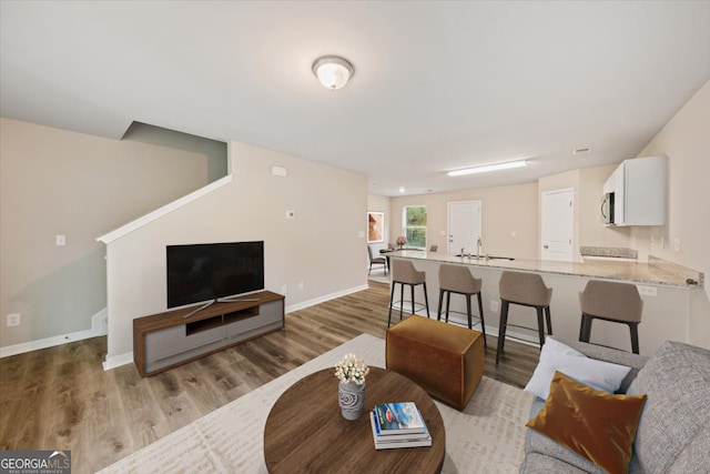 living room featuring hardwood / wood-style floors and sink