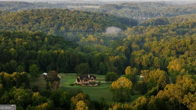 aerial view