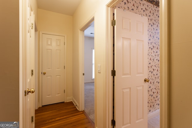 hallway featuring dark wood-type flooring