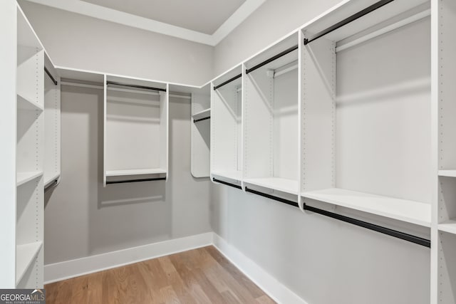 spacious closet with light hardwood / wood-style flooring