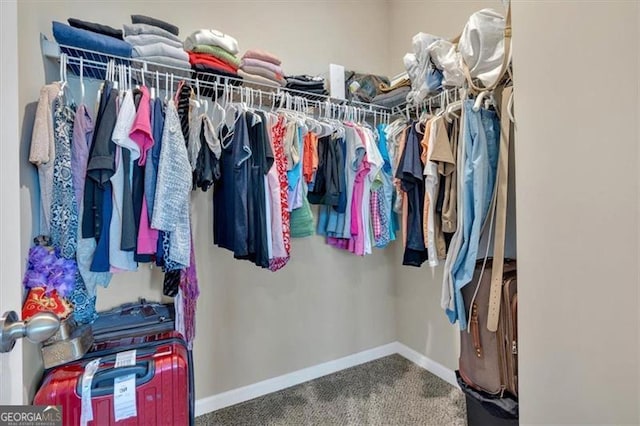 walk in closet featuring carpet flooring