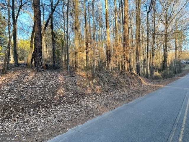 Listing photo 3 for 0 Bishop Rd, Meansville GA 30256