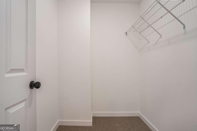 spacious closet featuring carpet floors