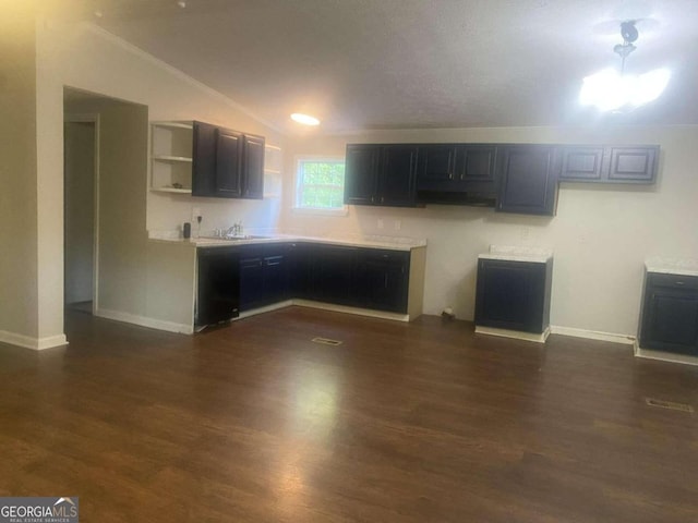 kitchen with lofted ceiling, dark wood-type flooring, and sink