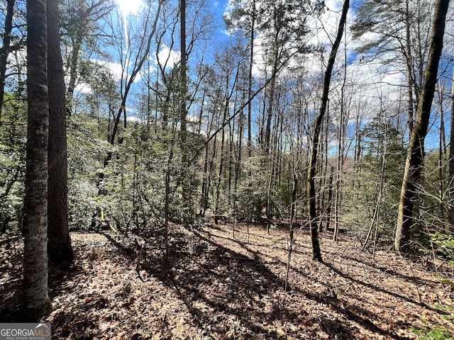 Listing photo 3 for LOT36 12.2AC Still Rd, Clarkesville GA 30523