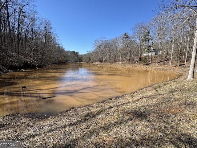 water view featuring a wooded view