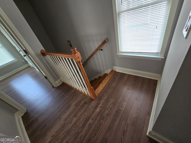 staircase with wood-type flooring