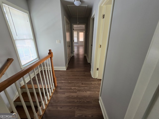 hall featuring dark hardwood / wood-style flooring