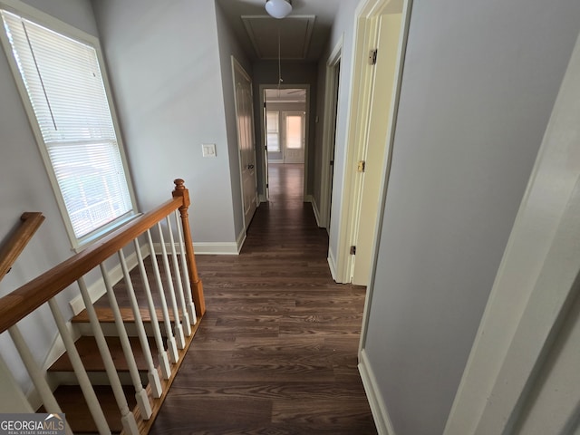 hallway with dark hardwood / wood-style flooring