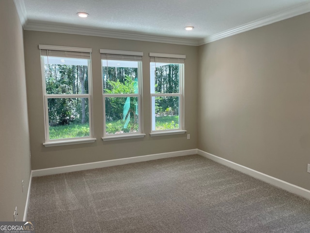 spare room with plenty of natural light, carpet floors, a textured ceiling, and ornamental molding