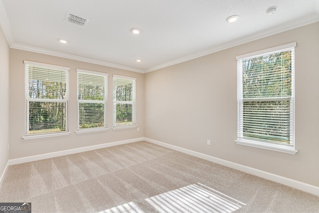 carpeted empty room with crown molding and a healthy amount of sunlight