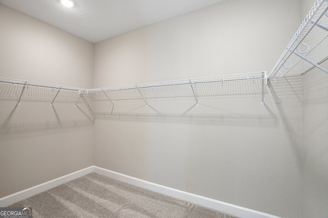 walk in closet featuring carpet floors