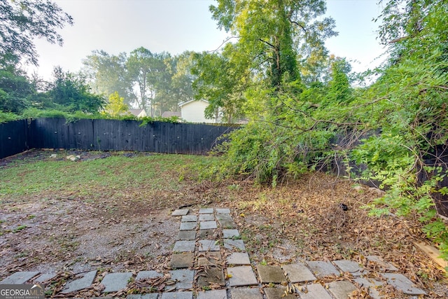 2911 Glenwood Ave SE, Atlanta, GA 30317 - view of yard