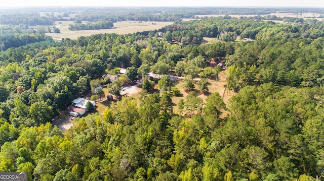 1651 Mergendollar Rd, Good Hope, GA 30641