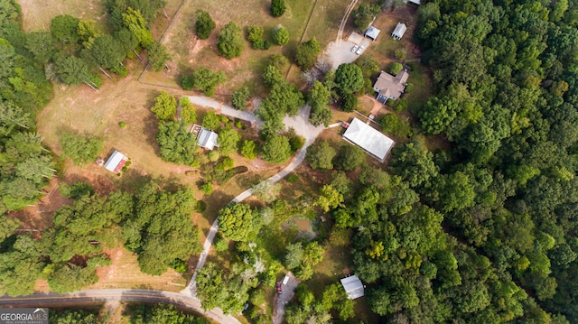 1651 Mergendollar Rd, Good Hope, GA 30641