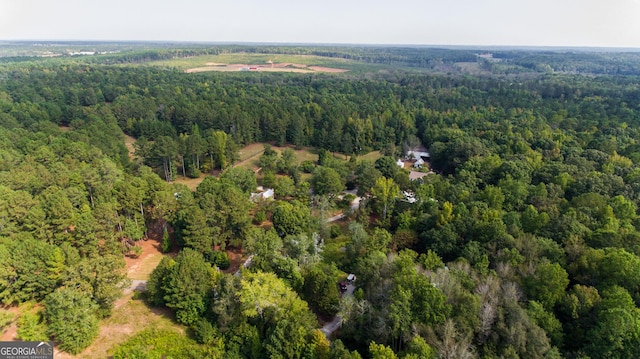 1651 Mergendollar Rd, Good Hope, GA 30641