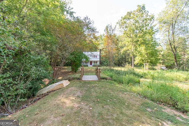 1651 Mergendollar Rd, Good Hope, GA 30641 - view of yard