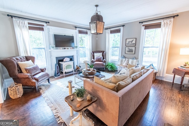 1651 Mergendollar Rd, Good Hope, GA 30641 - living room with crown molding, a wealth of natural light, and dark wood-style floors