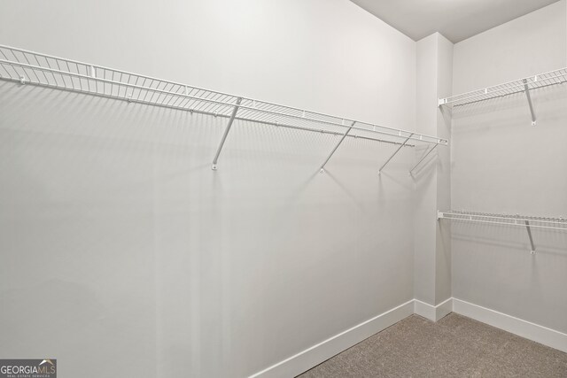 spacious closet featuring carpet