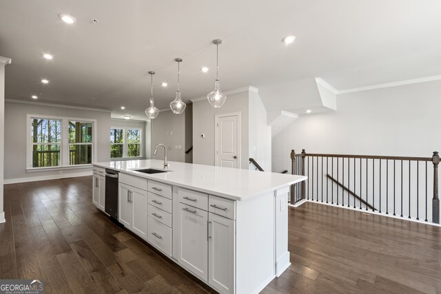 kitchen featuring dark hardwood / wood-style floors, sink, an island with sink, white cabinets, and ornamental molding