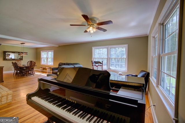 misc room featuring crown molding, light hardwood / wood-style floors, and ceiling fan