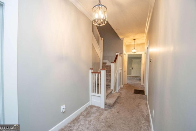 hall featuring light colored carpet and ornamental molding