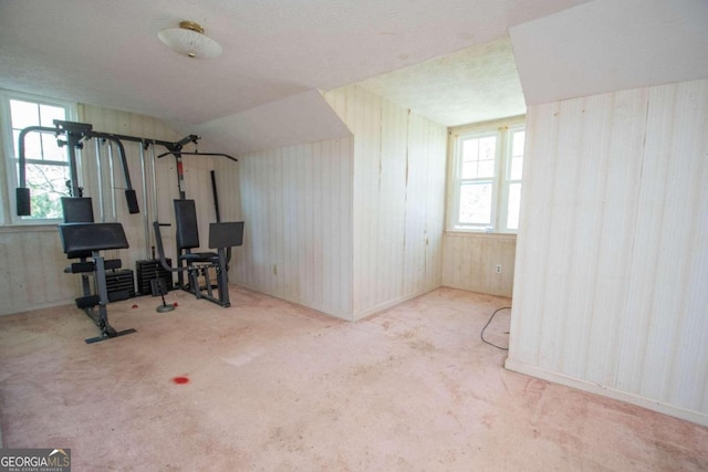 exercise room with wooden walls and light colored carpet