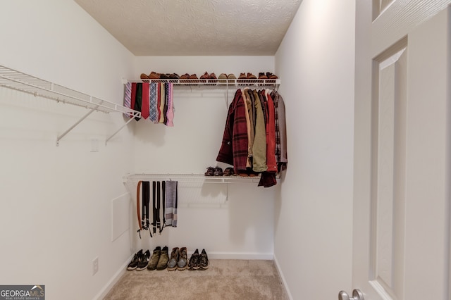 walk in closet featuring light colored carpet