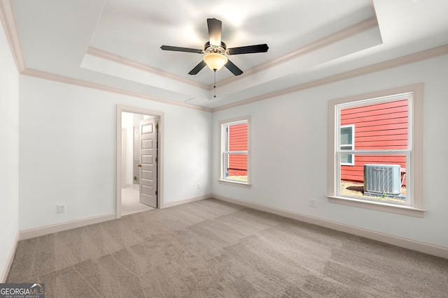 carpeted empty room featuring ornamental molding, ceiling fan, and a raised ceiling