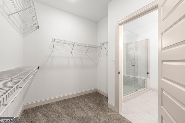 236 Westpark, Athens, GA 30606 - walk in closet with marble look tile flooring
