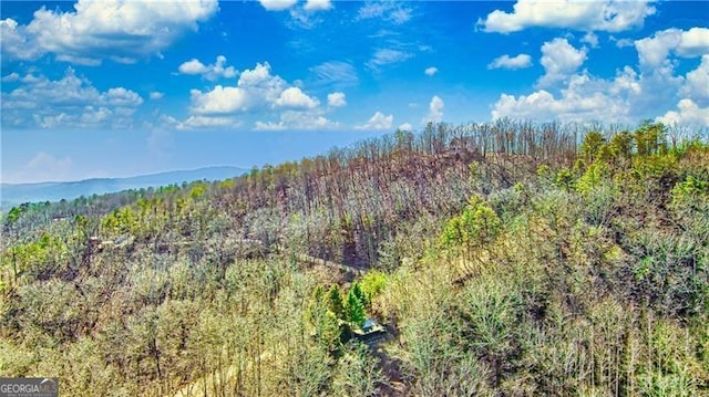 1088 Mayfield Ln NE, Ranger, GA 30734