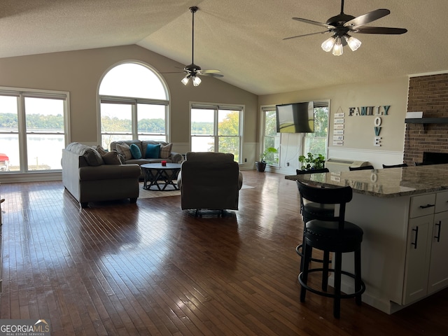 living room featuring a textured ceiling, dark hardwood / wood-style floors, vaulted ceiling, and ceiling fan