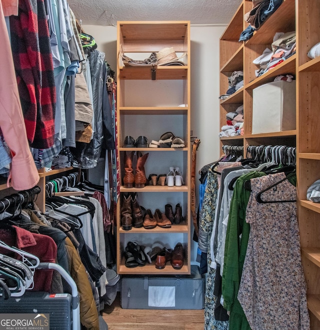 spacious closet with wood-type flooring