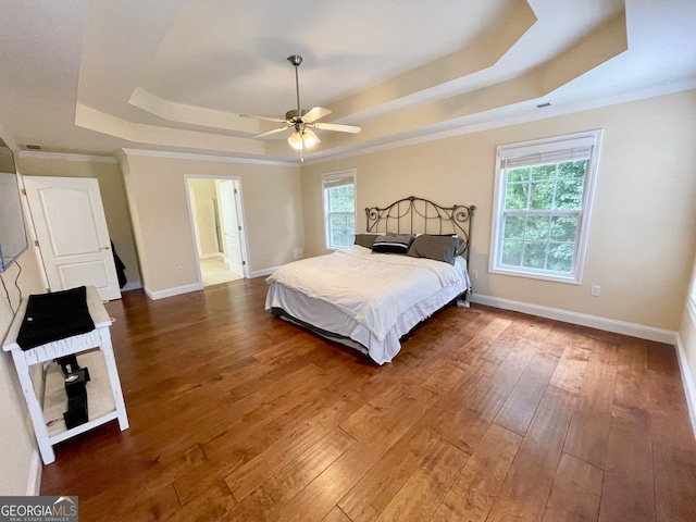 bedroom featuring multiple windows, a raised ceiling, and dark wood-type flooring