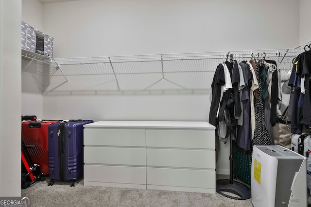 spacious closet with light carpet