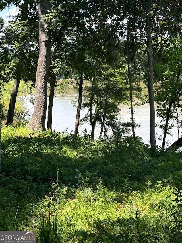 view of water feature