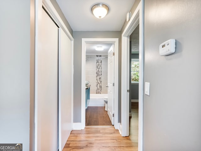 hallway featuring light hardwood / wood-style floors