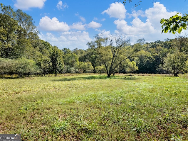 view of yard with a rural view