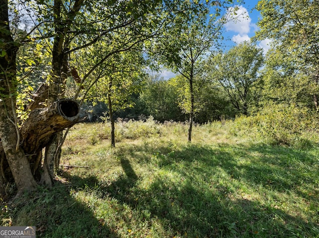 view of landscape