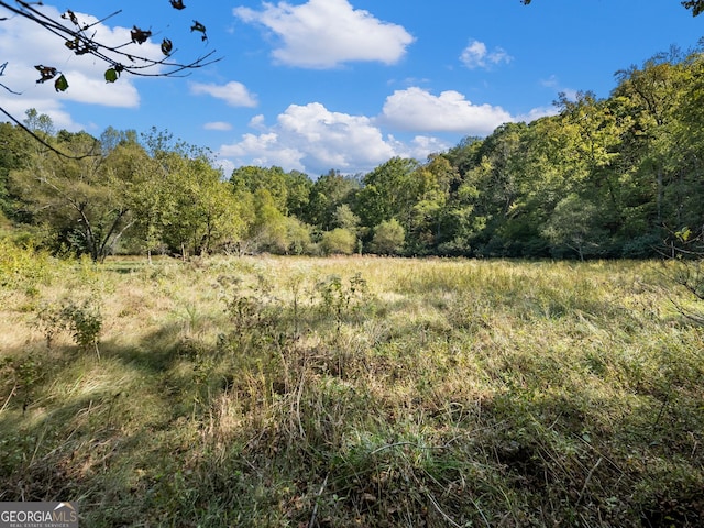 view of local wilderness