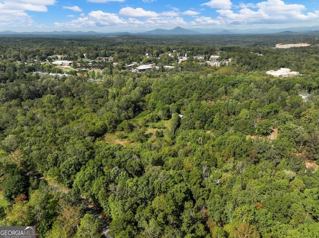 drone / aerial view with a mountain view