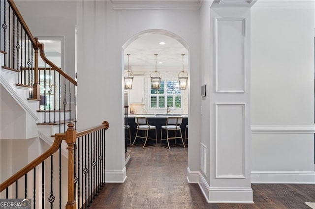 hallway with ornamental molding and dark hardwood / wood-style flooring