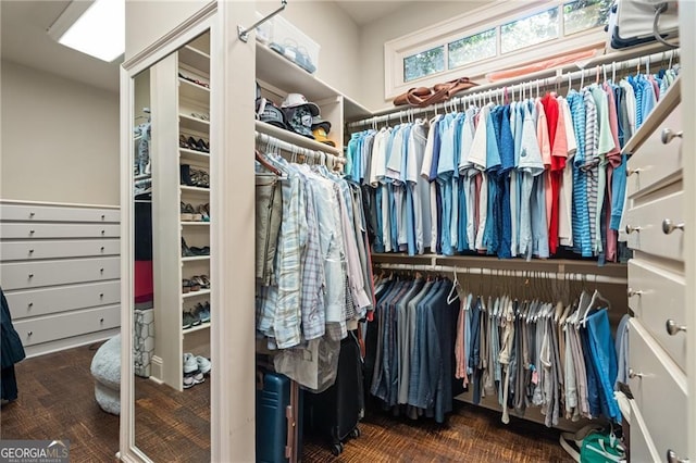 spacious closet with dark hardwood / wood-style floors