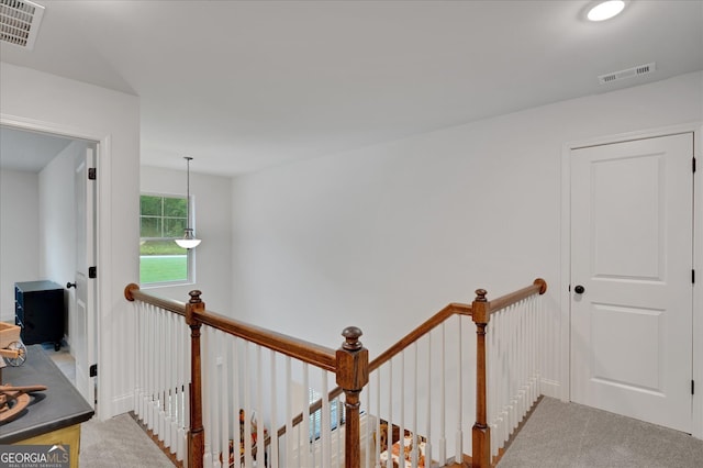 hallway featuring carpet floors