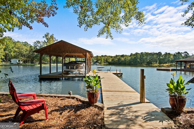 dock area with a water view