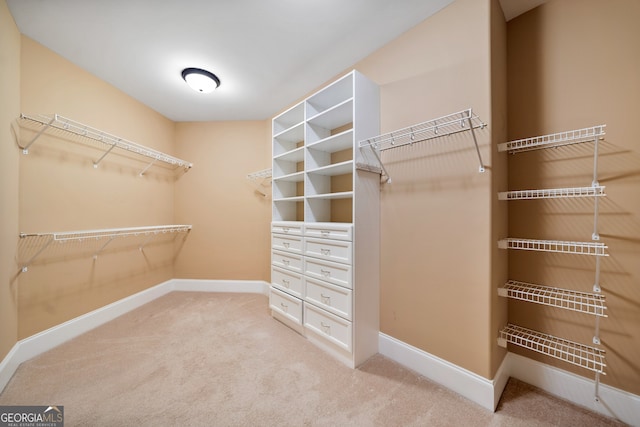 walk in closet with carpet floors