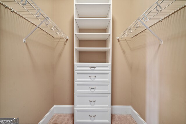 walk in closet with carpet flooring