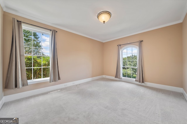 empty room featuring crown molding, carpet, and a healthy amount of sunlight