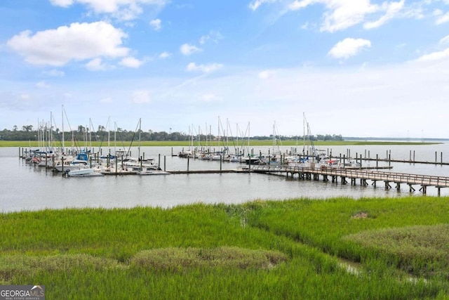 dock area with a water view