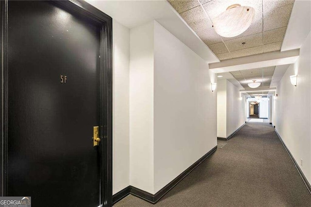 corridor featuring carpet flooring and a paneled ceiling